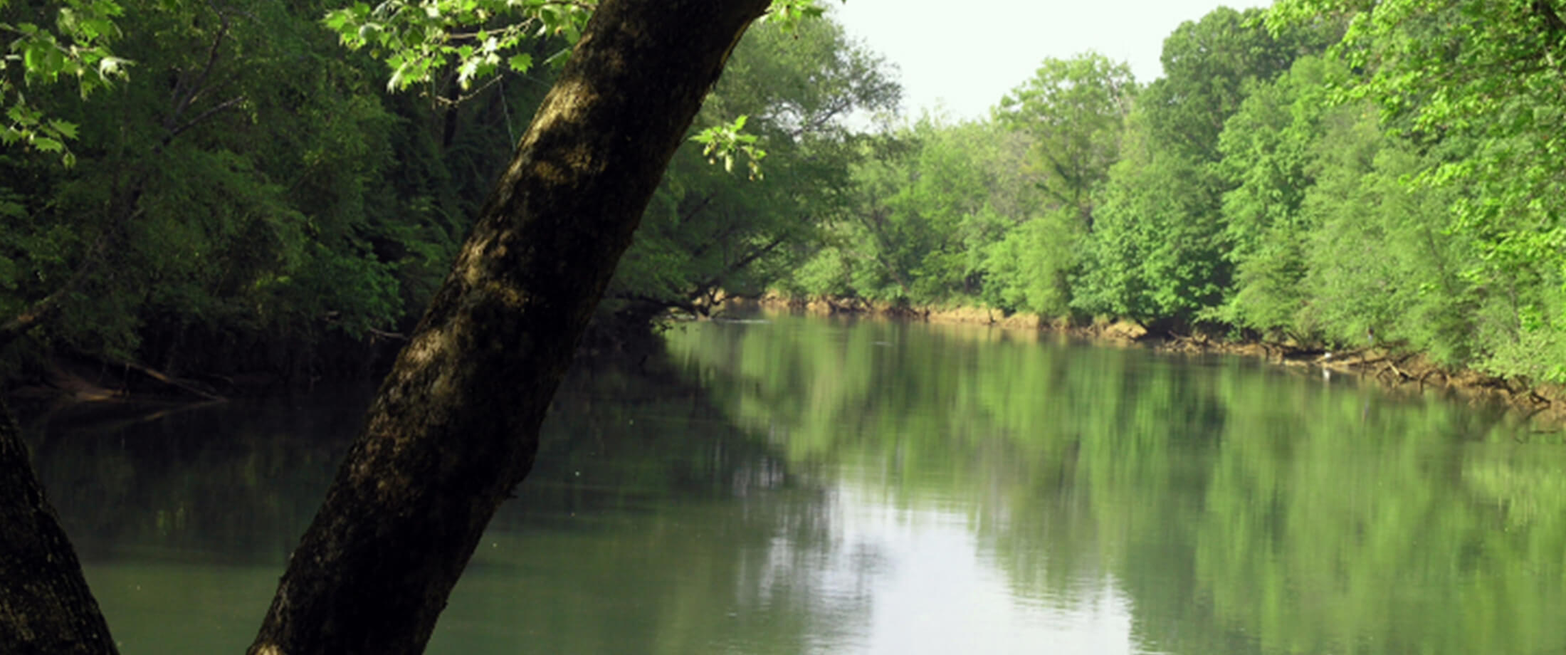 Parkview Estates Apartments in Canton, MS